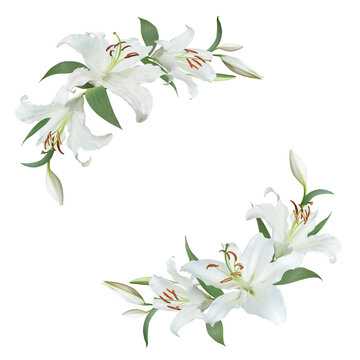 White lily flower frame arrangement corner borders isolated on transparent background for wedding invitations, greeting cards, and decorative spring designs.