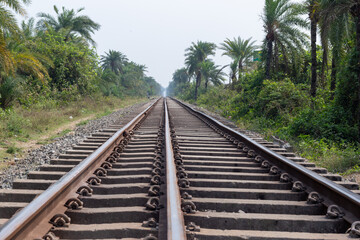 Obraz premium Empty metal train tracks stretching into the distance through a lush tropical landscape with tall palm trees