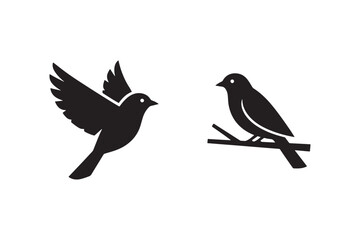 Obraz premium Bird icon set