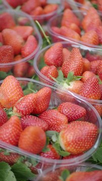 Strawberries in clear containers at a market stall