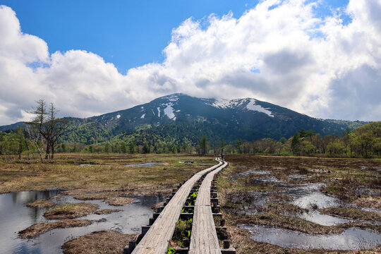 湿原に伸びる木道の先にそびえる、残雪の至仏山と尾瀬国立公園の大自然