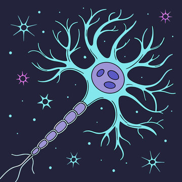 Neuron cell vector illustration, simple neuron vector drawing on a dark background, human nervous system cell, dendrite axon nucleus vector.