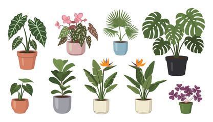 Fototapeta premium Diverse set of potted green foliage and blooming tropical plants offering a fresh natural aesthetic for modern home decoration and gardening blogs.