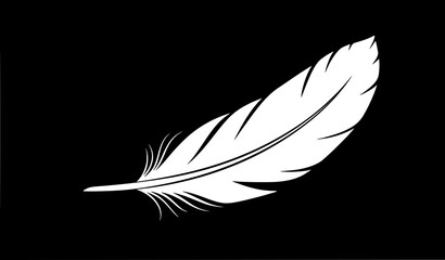 Minimal white feather silhouette on black background elegant abstract line illustration © MDRahul