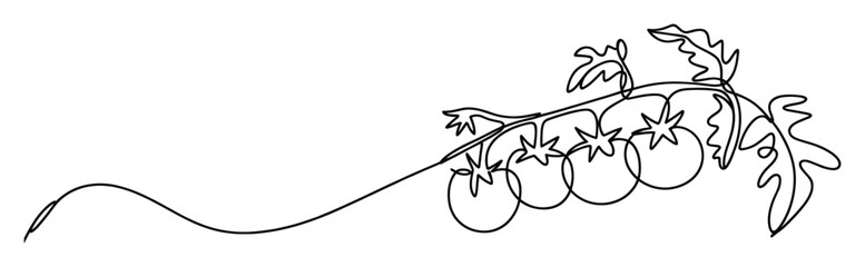 Obraz premium Continuous line drawing of fresh garden tomatoes on a branch with leaves provides a modern minimalist graphic for food packaging, culinary blogs, and healthy lifestyle advertisements