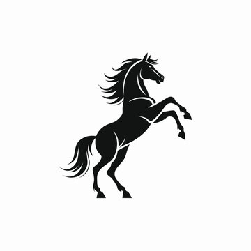 Stallion rearing silhouette vector icon, majestic black horse standing on hind legs, powerful equine mascot logo isolated on white background