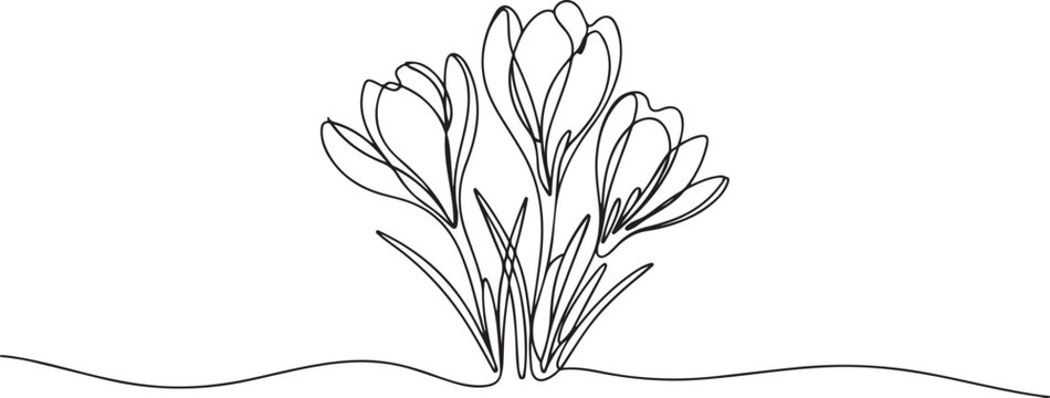 Single continuous line drawing beauty fresh croci for home wall art decor poster print. one line art icon drawing vector