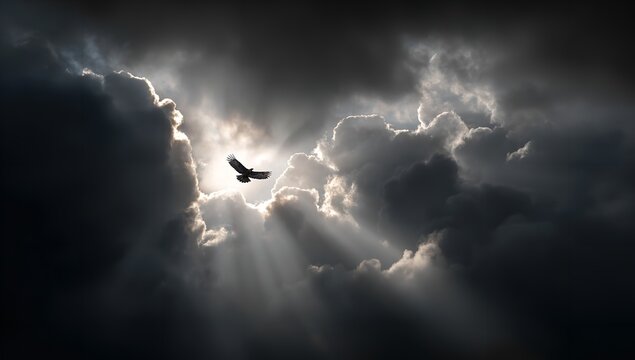 A lone bird soars through a small gap in dark heavy storm clouds while brilliant sunbeams pierce the sky to create a dramatic and hopeful atmosphere today