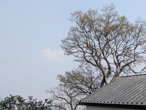 Swoyambhu Maha Chaitya area