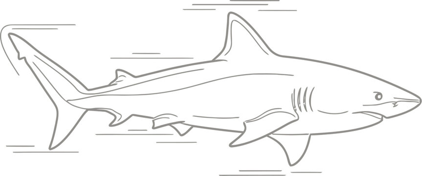 Illustration of a shark swimming in the ocean water