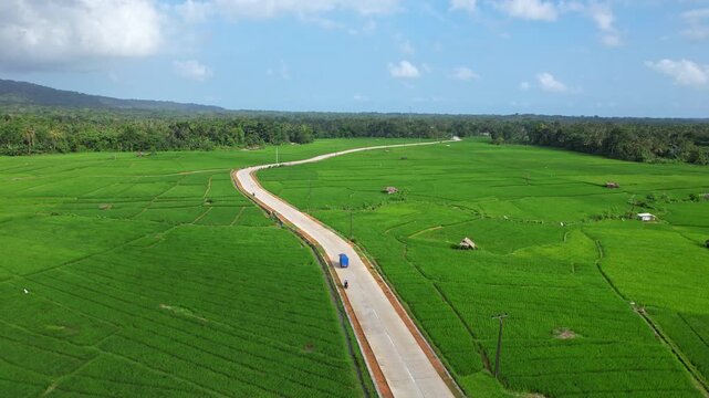 Aerial drone footage a trike motobike going thru a long paradise green fresh rice field road, in Pandeglang regency, Java island, Indonesia, on the way to Ujung Kulon national park