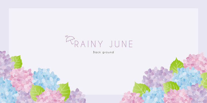 紫陽花の背景素材