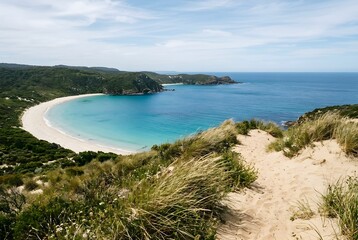 Fototapeta premium Coastal Dune Edge Overlooks Serene Cobalt Bay with Wind Shaped Grasses and Ivory Sand
