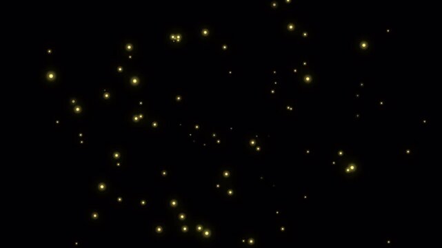 Floating Fireflies particles Loop on transparent background