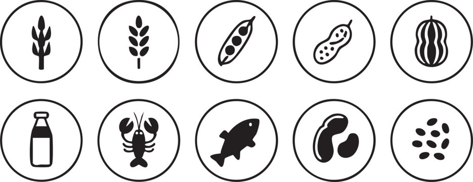 Food allergy icon set with gluten free nut seafood milk and soy symbols for labeling and packaging