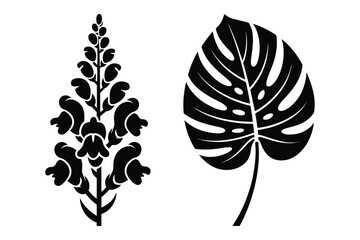 Snapdragon flower stalk and monstera deliciosa leaf silhouette vector art © Sadek
