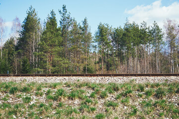 tory ,nasyp kolejowy  © Marcin Łazarczyk