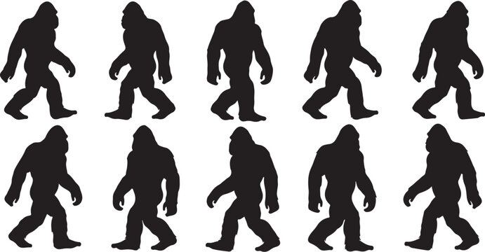 Bigfoot walking in various poses in black silhouette sequence