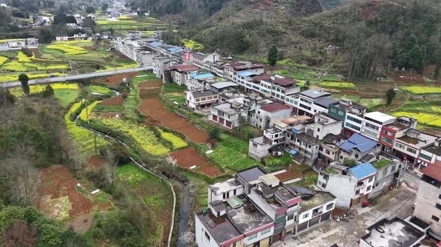 High angle shot demonstrating the ecological balance of a Chinese village integrated with yellow flower fields and lush green mountains.