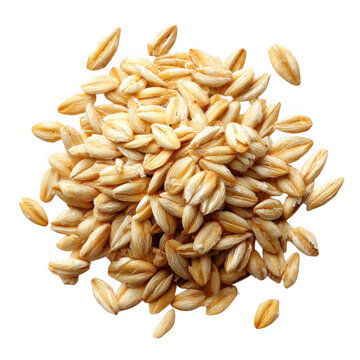 A small pile of raw organic oat groats that are ready to be cooked for a healthy morning breakfast isolated on transparent background