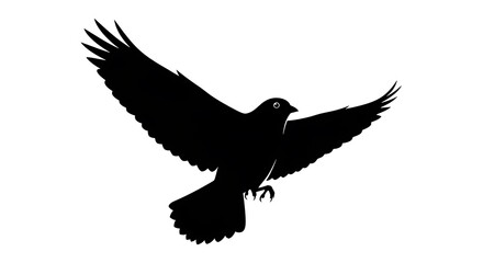 Fototapeta premium Silhouette of a black bird in flight against a white background.