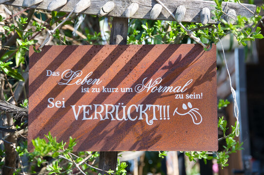 Lustiger Spruch