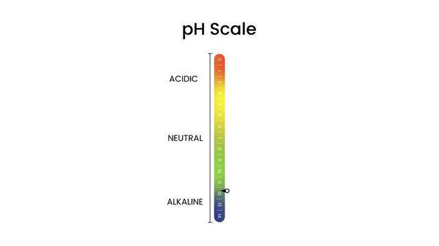 Vertical pH Scale diagram from acidic to alkaline Levels animation isolated on white background