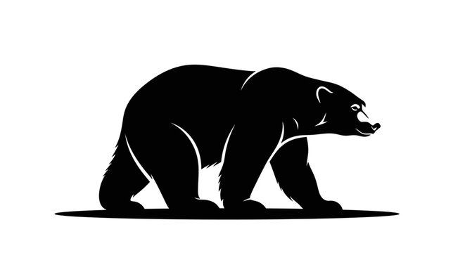 Black bear walking on ground.