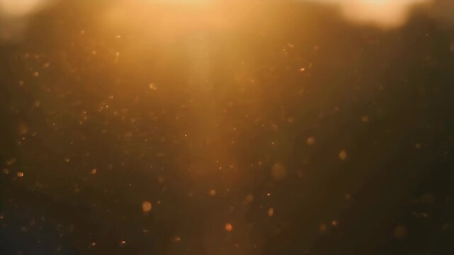Golden light illuminating airborne particles in a soft focus effect.