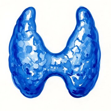 Abstract Watercolor Illustration of the Human Thyroid Gland.