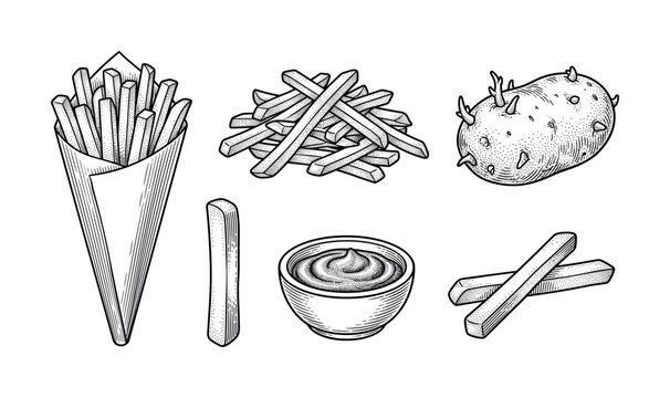 Set of French fries and potato in a vintage engraving style. Includes fries in a paper cone, sauce, and a raw potato. Perfect for restaurant menus or fast food design.