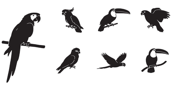 Collection of silhouette illustrations of various tropical birds, including parrots, cockatoos, and toucans, on white background.