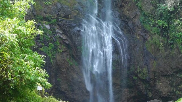 A cinematic drone tilt-up movement reveals the elegant vertical drop of Curug Cicatang waterfall against a dark rocky cliff, surrounded by the lush green bamboo and tropical foliage 