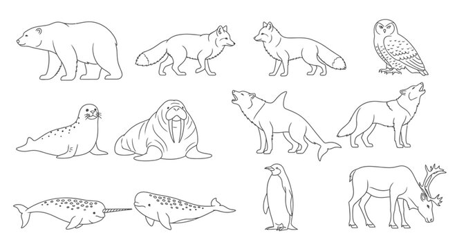 Various Arctic and marine wildlife animals.
