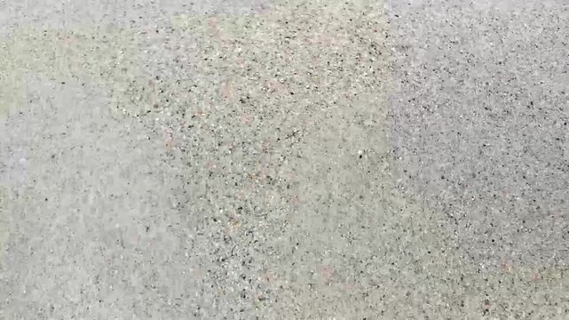 After wave the crab crabs burrowing back into sand Thailand.