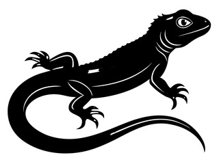 Fototapeta premium Black lizard silhouette crawling on white plain background