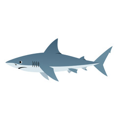 Fototapeta premium Shark swimming laterally isolated illustration on white background