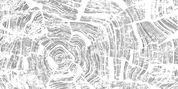 Log cut, wood texture, tree rings pattern, shades of gray, rough vector background