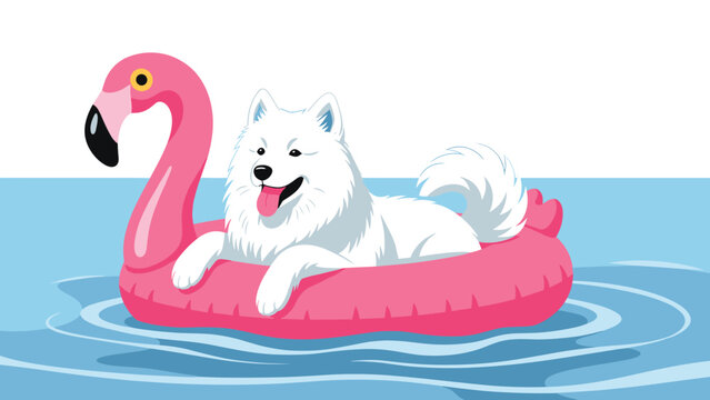 Adorable white Samoyed dog enjoying a sunny day floating on a large pink flamingo inflatable in the blue water of a swimming pool.