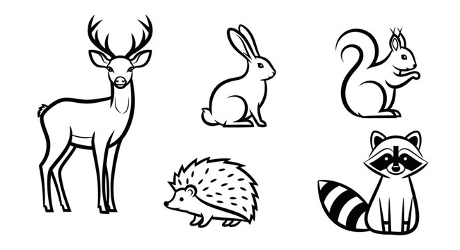 Collection of forest animals standing still.