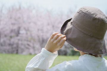 桜を見る女性 © aomas