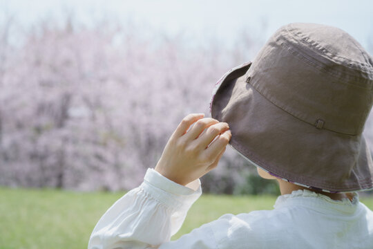 桜を見る女性