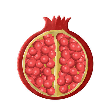 pomegranate watercolor illustration 