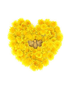 Dandelion flower heart shaped wreath with gold bumblebee ornament on white. Floral arrangement to promote flowers for bee nectar food. Environmental conservation concept.