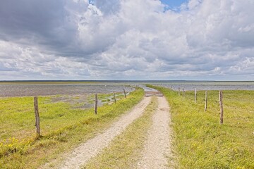 Fototapeta premium Dirt road passing through a rural, open landscape with sparse vegetation and a wooden fence along the side in cloudy summer weather, Muhu, Estonia, Europe.