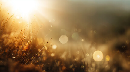 Fototapeta premium The magical golden hour sunlight bathes a field of grass in a warm, ethereal glow, creating soft focus and sparkling bokeh effects.
