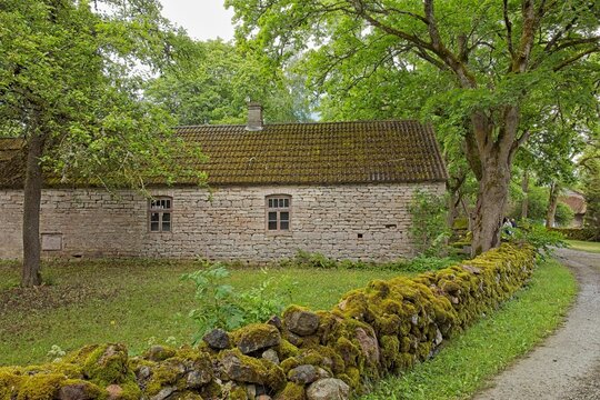 Traditional stone building with mossy stone wall on the forground  in summer, Koguva village, Muhu, Estonia, Europe.