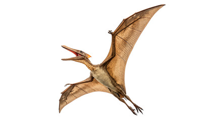 Pterosaur flies through the air with wings spread wide isolated on transparent background © Hanna
