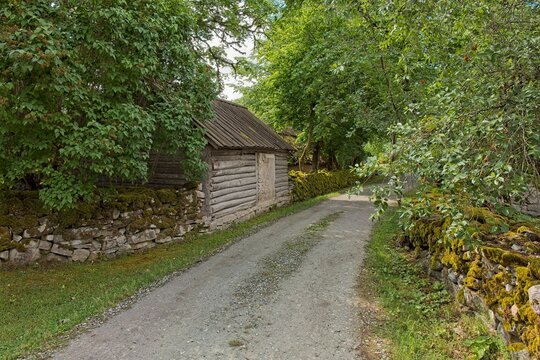 Moss-coverd stone walls along narrow gravel path in summer, Koguva village, Muhu, Estonia, Europe.