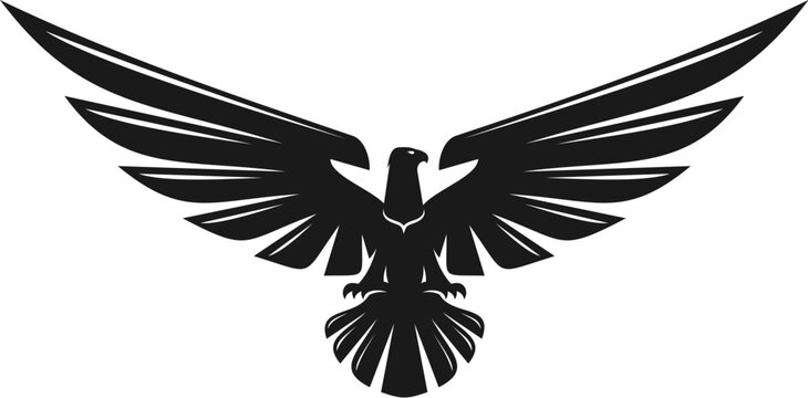 Black eagle flying bird graphic icon or symbol. Hunting hawk graphic sign, black eagle bird business emblem. Flying falcon company icon